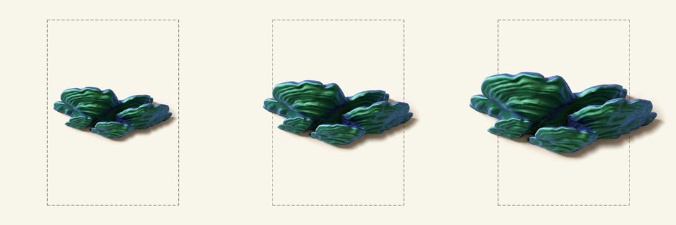 Schichtpilz-Regal in Blau/Grün, Größen M, L und XL nebeneinander vor je einem DIN-A4-Blatt
