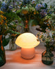 Pilz Lampe: Gemeiner Steinpilz
