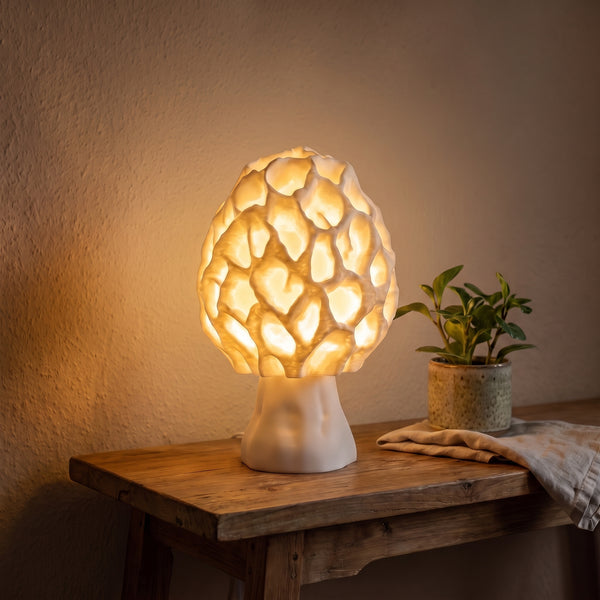 Pilzlampe weiß – Morchel mit Wabenstruktur leuchtet warm auf einem Holztisch