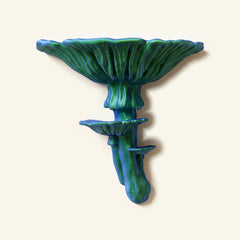 Amanitapilz-Regal in Blau/Grün, freigestellt vor cremefarbener Wand
