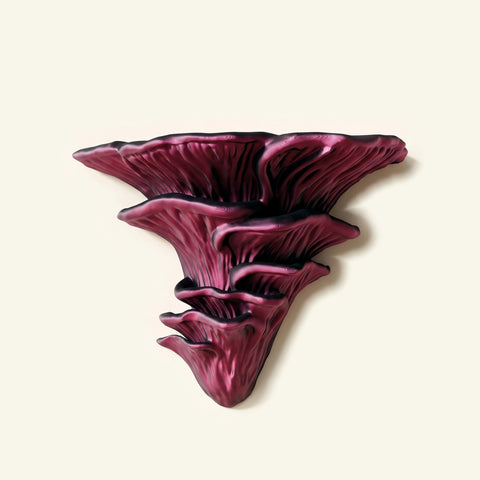 Flamingo-Seitling-Regal in Pink/Schwarz, freigestellt vor cremefarbener Wand