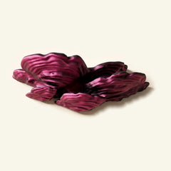 Schichtpilz-Regal in Pink/Schwarz, freigestellt vor cremefarbener Wand